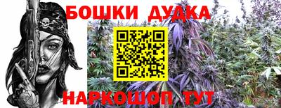 альфа пвп Железногорск